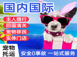 万州五桥空运公司国际宠物托运 【国